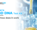 CBD DNA Test Kit
